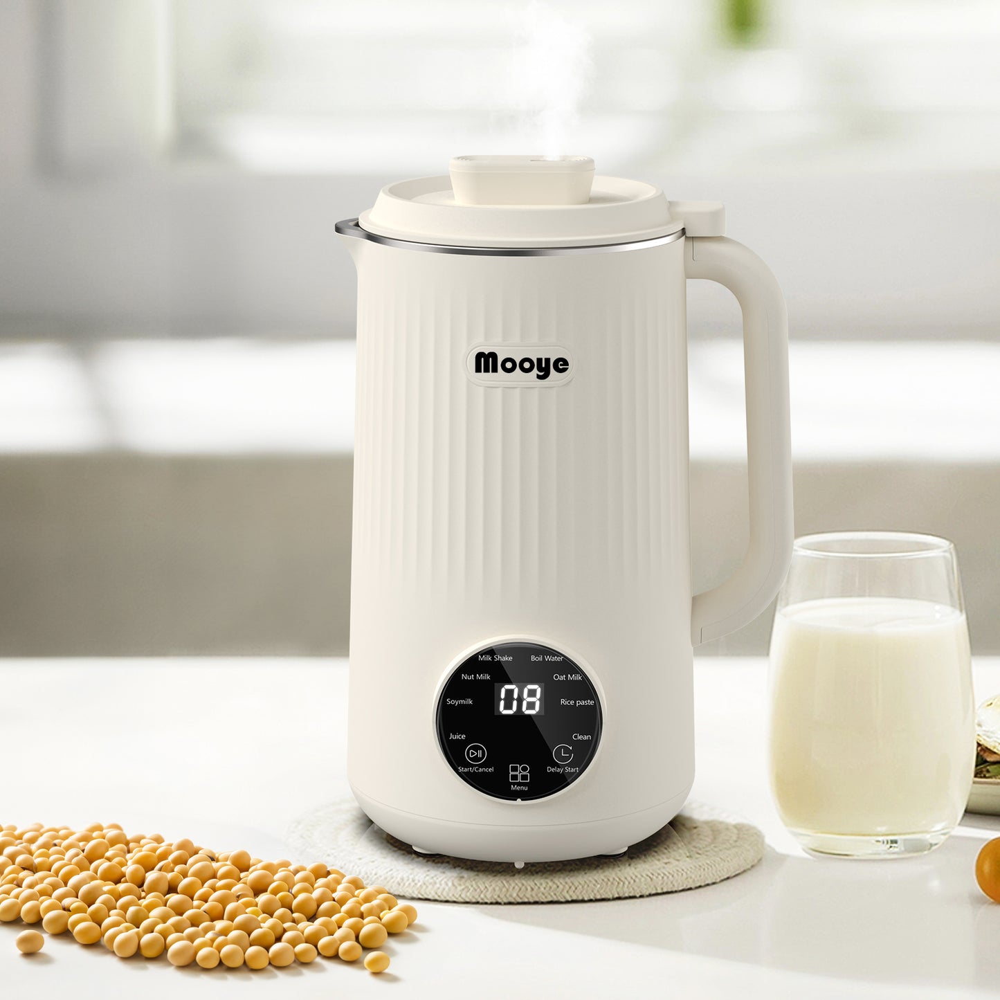 1L soymilk machine-W6